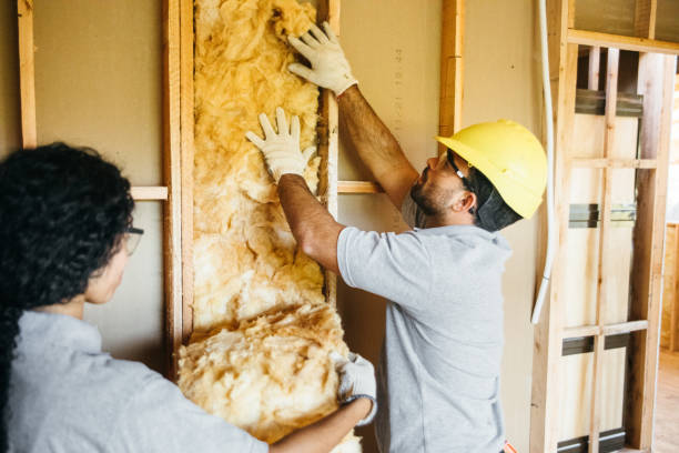 Insulation Replacement Services in Rossville, MD